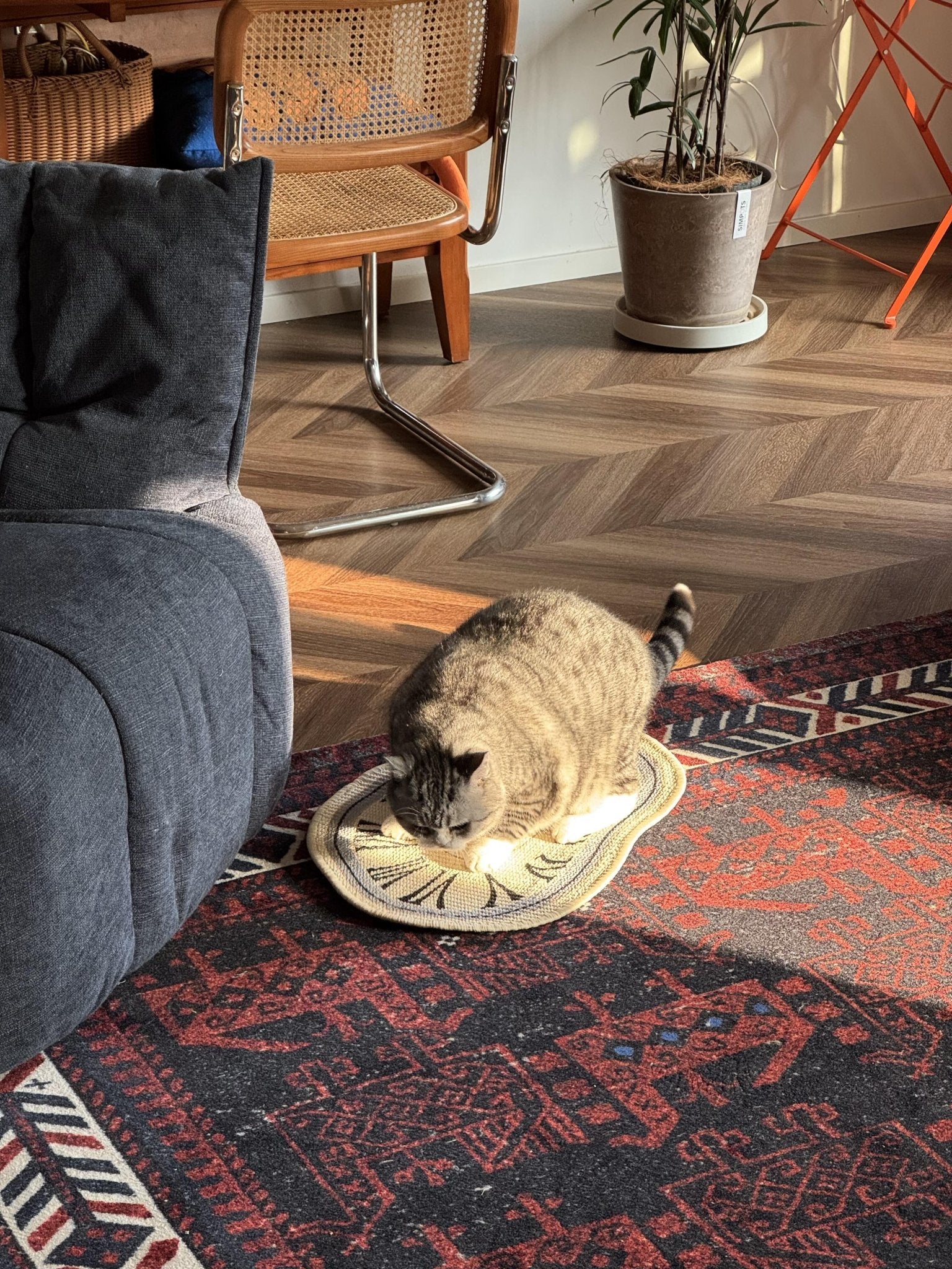 Hello Pepper - Melting Time Cat Scratcher Mat - White - Hello Pepper