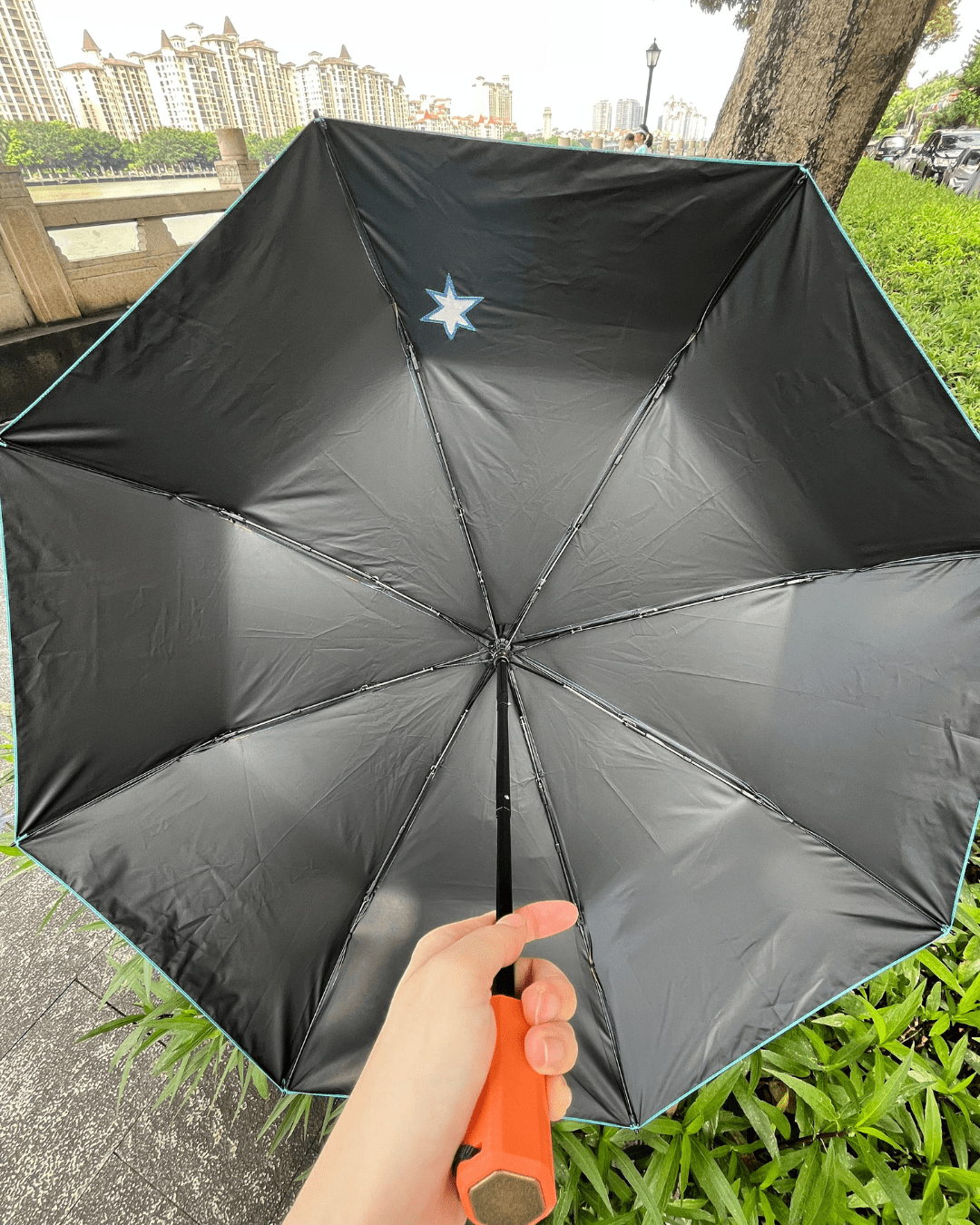 Hello Pepper-La Danse Compact Umbrella-Hello Pepper